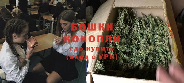 apvp Алексин
