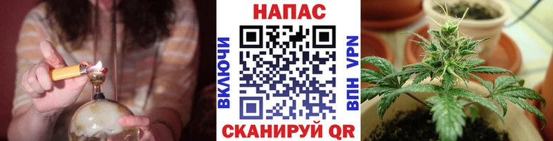 Бошки марихуана планчик  OMG   Михайловск 